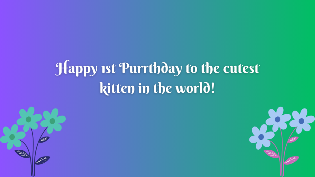 1st Birthday Wishes for Cats: