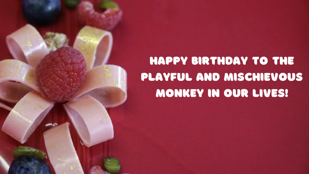 Birthday Wishes for Monkey: