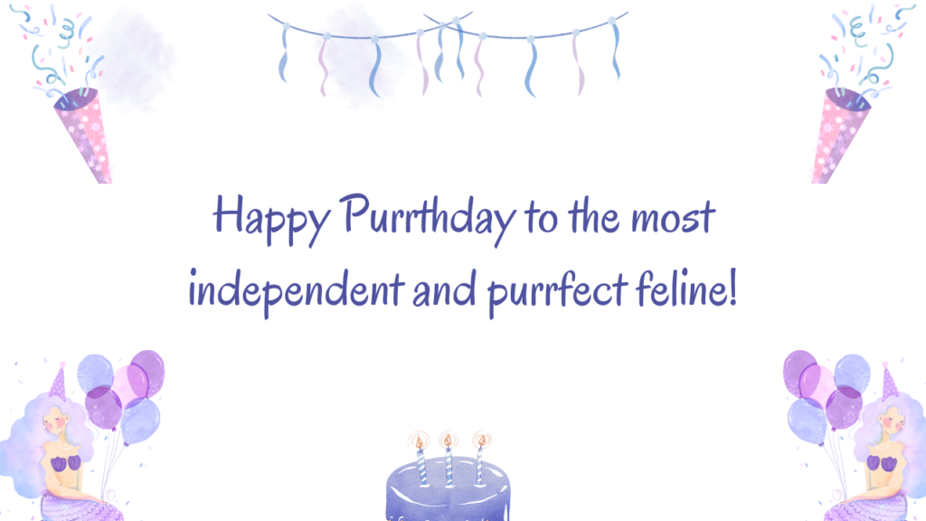 Birthday Wishes for Cats: